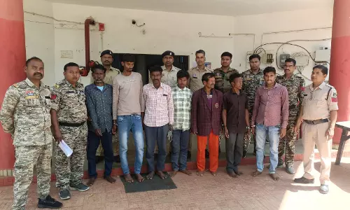 बलरामपुर में अफीम की खेती मामले में अब तक 7 आरोपी गिरफ्तार बलरामपुर में अफीम की खेती मामले में अब तक 7 आरोपी गिरफ्तार