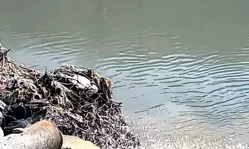 Kullu में ब्यास नदी में बिना ट्रीटमेंट के छोड़े जा रहे सीवेज से लोगों की सेहत को खतरा Kullu में ब्यास नदी में बिना ट्रीटमेंट के छोड़े जा रहे सीवेज से लोगों की सेहत को खतरा