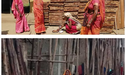 साझी मेहनत, साझा समृद्धि : बिहान से बदल रहा ग्रामीण महिला जीवन साझी मेहनत, साझा समृद्धि : बिहान से बदल रहा ग्रामीण महिला जीवन