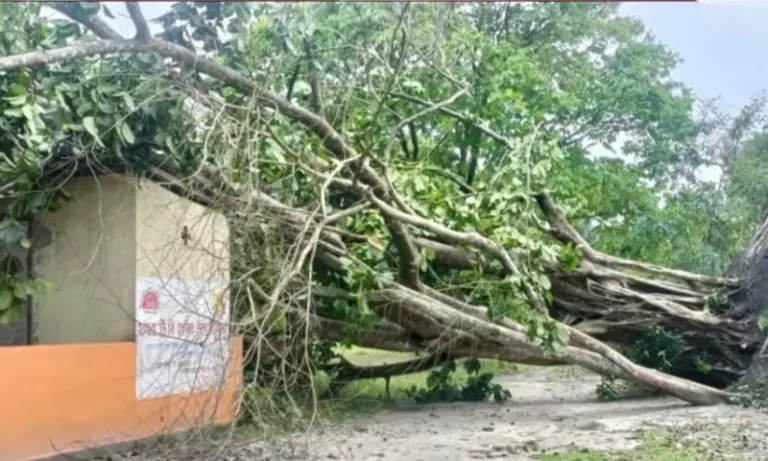 Assam: डिब्रूगढ़ में भयंकर तूफान