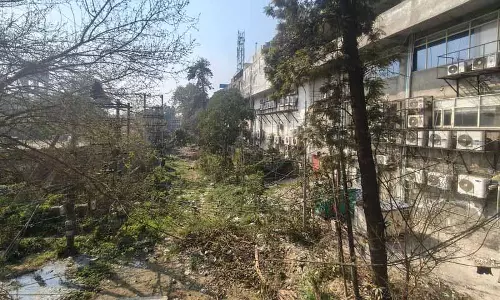 जालंधर में PUDA कॉम्प्लेक्स के पीछे के हिस्से की अनदेखी, नागरिक उदासीनता दिख रही
