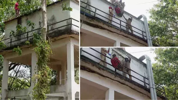 Kerala: हाथ में ब्लेड, दिमाग में मौत: कोझिकोड में दिल दहला देने वाला रेस्क्यू ऑपरेशन