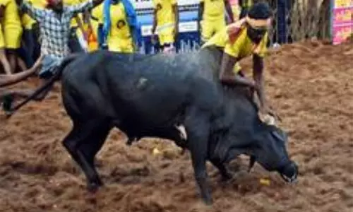 तमिलनाडु: Madurai में मंजुविरट्टू कार्यक्रम के दौरान दो लोगों की मौत तमिलनाडु: Madurai में मंजुविरट्टू कार्यक्रम के दौरान दो लोगों की मौत