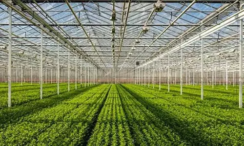 Telangana Horticulture 14 मार्च को हैदराबाद में अर्बन फार्मिंग ट्रेनिंग देगा