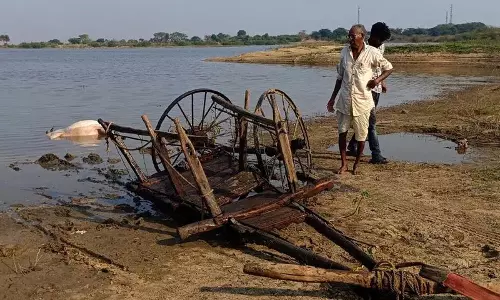 तालाब में बैलगाड़ी पलटने से बैल की मौत, किसान को मामूली चोटें