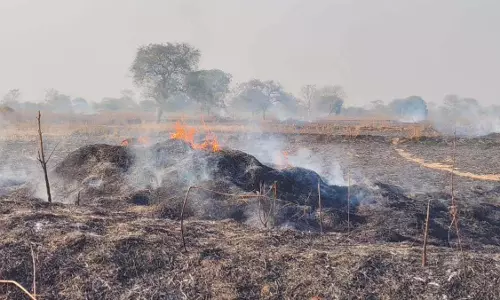 धमतरी के खेत में लगी भीषण आग, 500 एकड़ फसल जलकर खाक धमतरी के खेत में लगी भीषण आग, 500 एकड़ फसल जलकर खाक