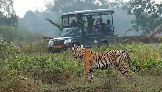 Bandipur-नागरहोल में सफारी रोकी गई: वाइल्डलाइफ़ सैंक्चुअरी को रेवेन्यू में छह करोड़ का नुकसान Bandipur-नागरहोल में सफारी रोकी गई: वाइल्डलाइफ़ सैंक्चुअरी को रेवेन्यू में छह करोड़ का नुकसान