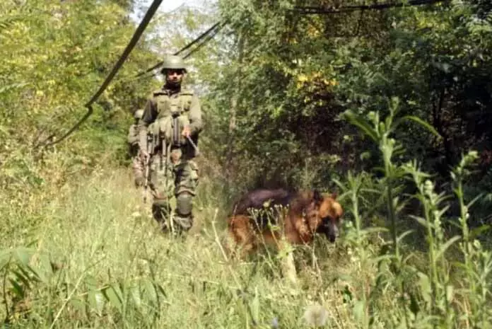 JAMMU: मारा गया आतंकवादी लश्कर का लॉन्चिंग ऑपरेटिव था JAMMU: मारा गया आतंकवादी लश्कर का लॉन्चिंग ऑपरेटिव था