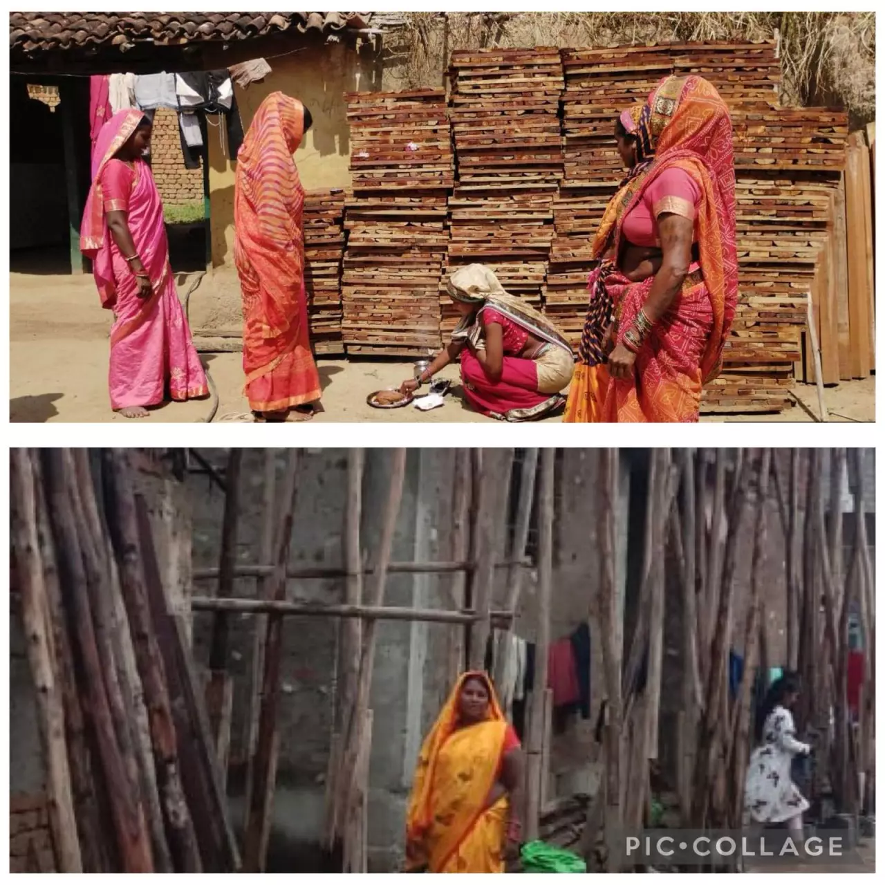 साझी मेहनत, साझा समृद्धि : बिहान से बदल रहा ग्रामीण महिला जीवन साझी मेहनत, साझा समृद्धि : बिहान से बदल रहा ग्रामीण महिला जीवन