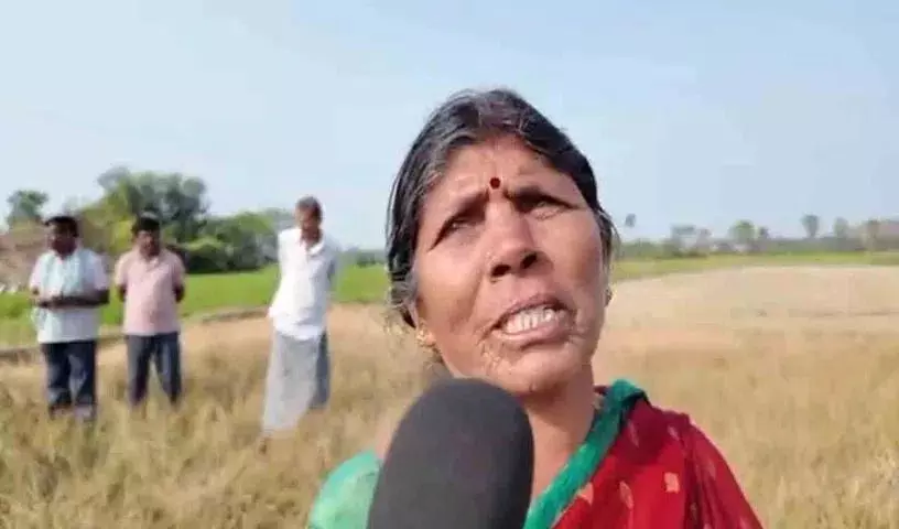 महिला किसान का कहना है कि मेरे 3 Acres धान के खेत सूख गए महिला किसान का कहना है कि मेरे 3 Acres धान के खेत सूख गए