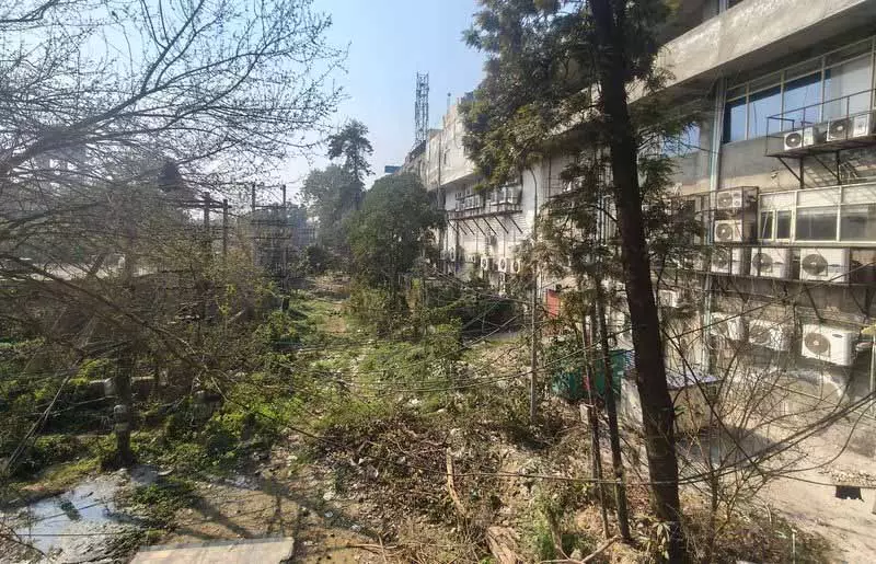 जालंधर में PUDA कॉम्प्लेक्स के पीछे के हिस्से की अनदेखी, नागरिक उदासीनता दिख रही जालंधर में PUDA कॉम्प्लेक्स के पीछे के हिस्से की अनदेखी, नागरिक उदासीनता दिख रही