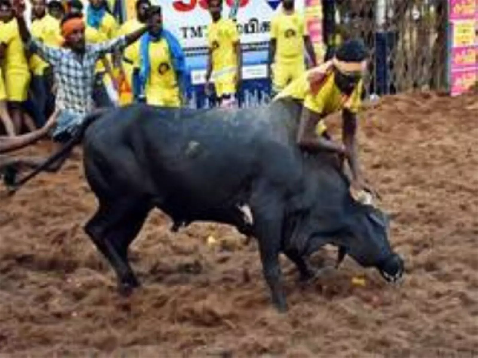 तमिलनाडु: Madurai में मंजुविरट्टू कार्यक्रम के दौरान दो लोगों की मौत तमिलनाडु: Madurai में मंजुविरट्टू कार्यक्रम के दौरान दो लोगों की मौत