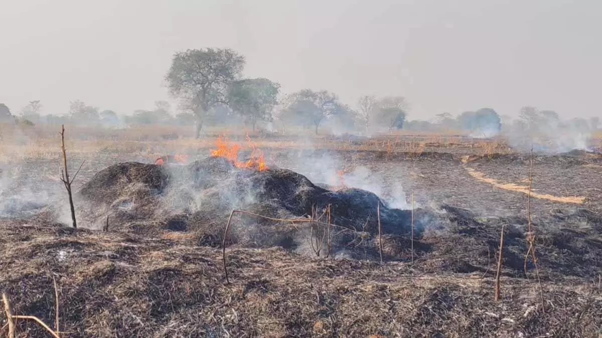 धमतरी के खेत में लगी भीषण आग, 500 एकड़ फसल जलकर खाक धमतरी के खेत में लगी भीषण आग, 500 एकड़ फसल जलकर खाक
