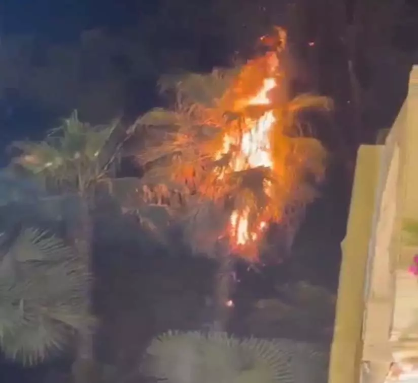 ललित महल होटल में शादी समारोह के दौरान आग, मचा हड़कंप ललित महल होटल में शादी समारोह के दौरान आग, मचा हड़कंप