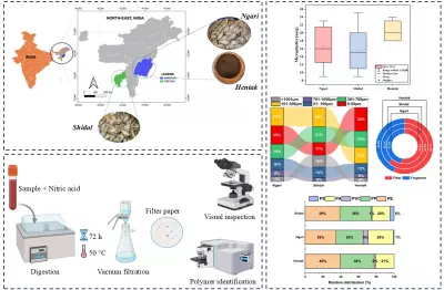 Study: पूर्वोत्तर के पारंपरिक मछली उत्पादों, जिनमें नगारी भी शामिल Study: पूर्वोत्तर के पारंपरिक मछली उत्पादों, जिनमें नगारी भी शामिल