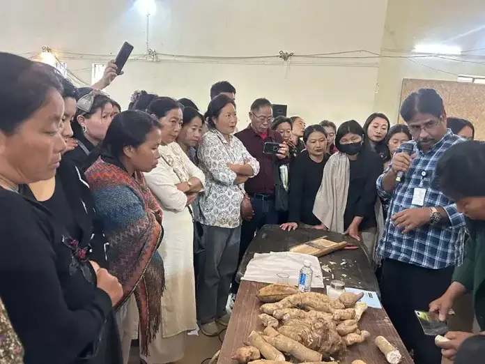 Nagaland : वोखा में कंद फसलों पर प्रशिक्षण आयोजित Nagaland : वोखा में कंद फसलों पर प्रशिक्षण आयोजित