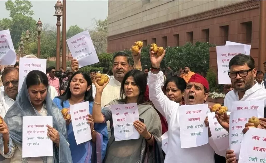 Lucknow: आलू के मुद्दे पर संसद में प्रदर्शन, डिंपल और धर्मेंद्र यादव रहे सक्रिय