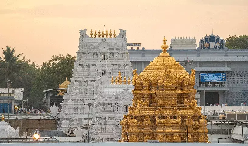 Tirupati: SC ने गलत जानकारी फैलाने वालों के खिलाफ कार्रवाई की याचिका पर सुनवाई से किया इनकार Tirupati: SC ने गलत जानकारी फैलाने वालों के खिलाफ कार्रवाई की याचिका पर सुनवाई से किया इनकार