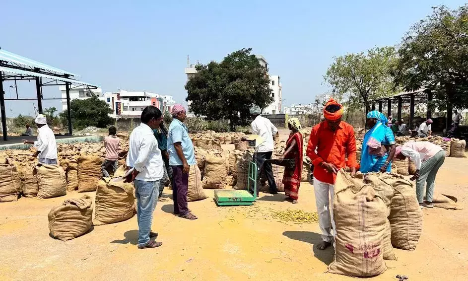 पश्चिम एशिया में युद्ध के कारण Nizamabad बाज़ार में हल्दी की कीमतें गिरीं पश्चिम एशिया में युद्ध के कारण Nizamabad बाज़ार में हल्दी की कीमतें गिरीं