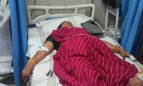 हाउसिंग बोर्ड कॉलोनी में पूजा कर रही महिलाओं पर मधुमक्खियों का हमला, 2 घायल हाउसिंग बोर्ड कॉलोनी में पूजा कर रही महिलाओं पर मधुमक्खियों का हमला, 2 घायल