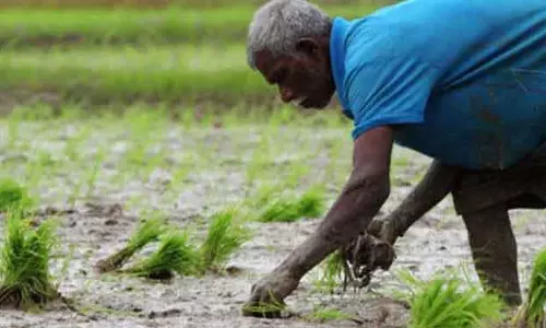 Bhubaneswar राज्य के 34 लाख किसानों को PM-KISAN के तहत 684 करोड़ रुपये मिलेंगे