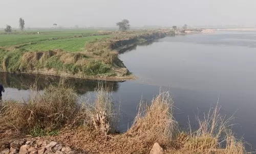 Yamuna में प्रदूषण की निगरानी के लिए ड्रेन-वार समितियाँ Yamuna में प्रदूषण की निगरानी के लिए ड्रेन-वार समितियाँ
