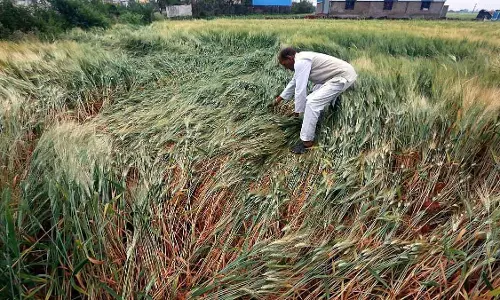 Maharashtra : 17 मार्च से कई इलाकों में आंधी-तूफ़ान, बारिश और ओलावृष्टि की संभावना Maharashtra : 17 मार्च से कई इलाकों में आंधी-तूफ़ान, बारिश और ओलावृष्टि की संभावना