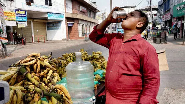 Kerala भीषण गर्मी के लिए तैयार: येलो और ऑरेंज अलर्ट जारी