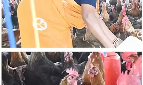 चर्रा की योगेश्वरी देवांगन बनीं महिला सशक्तिकरण की प्रेरणा