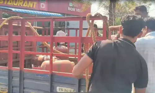 मेडक में होटलों और टिफिन सेंटरों पर छापेमारी के दौरान घरेलू LPG सिलेंडर ज़ब्त मेडक में होटलों और टिफिन सेंटरों पर छापेमारी के दौरान घरेलू LPG सिलेंडर ज़ब्त