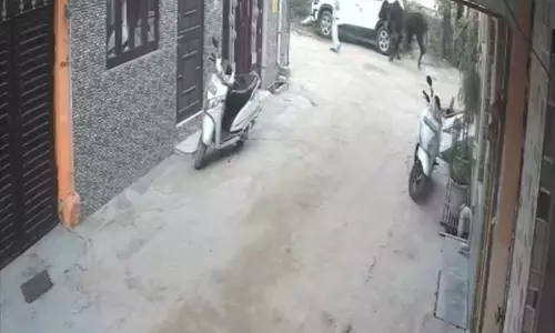 Haridwar: हरिद्वार की सड़कों पर हड़कंप, सांड ने लिया एक जान Haridwar: हरिद्वार की सड़कों पर हड़कंप, सांड ने लिया एक जान