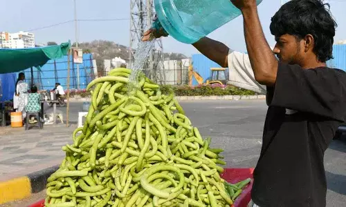 बढ़ती गर्मी से निपटने के लिए Hyderabadis घरेलू नुस्खों का सहारा ले रहे