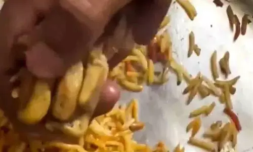 कानपुर के एक आदमी को Zomato biryani में कुत्ते का पैर मिला; वीडियो वायरल हो गया