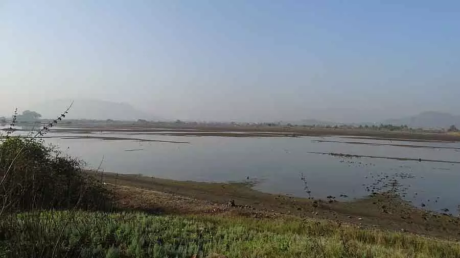 Centre ने महाराष्ट्र से 23,000 वेटलैंड्स को प्राथमिकता के आधार पर अधिसूचित करने को कहा Centre ने महाराष्ट्र से 23,000 वेटलैंड्स को प्राथमिकता के आधार पर अधिसूचित करने को कहा