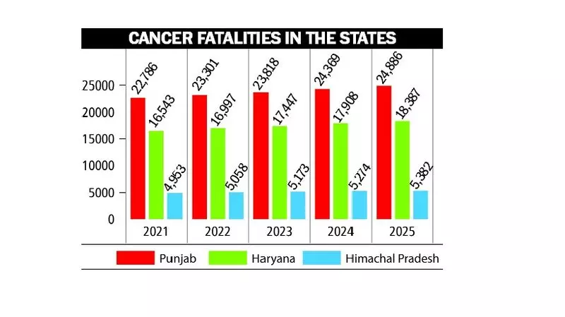 2025 में, पंजाब में रोज़ाना कैंसर से 68 मौतें हुईं, हरियाणा में 50 और हिमाचल में 15। 2025 में, पंजाब में रोज़ाना कैंसर से 68 मौतें हुईं, हरियाणा में 50 और हिमाचल में 15।