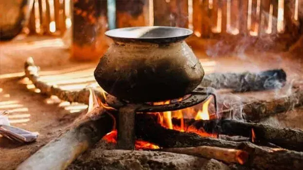 Kerala के स्कूलों में फिर लकड़ी और LPG से खाना बनाने की अनुमति Kerala के स्कूलों में फिर लकड़ी और LPG से खाना बनाने की अनुमति
