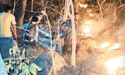 कोंडागांव के जंगल में लगी आग, बुझाने में जुटी वन विभाग की टीम
