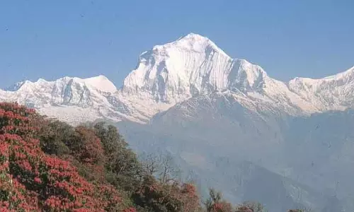 भारतीय हिमालयी क्षेत्र में दो वर्षों में वृक्ष आवरण 2.2% घटा: Government भारतीय हिमालयी क्षेत्र में दो वर्षों में वृक्ष आवरण 2.2% घटा: Government