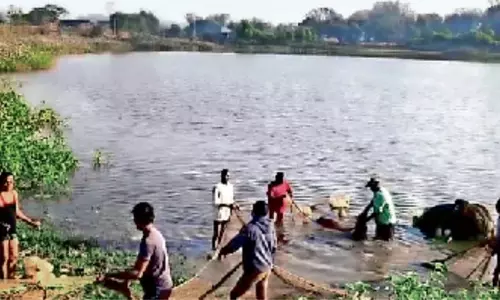 मछली जाल में मगरमच्छ फंसने से मछुआरों के उड़े होश, वन विभाग को बुलाया मछली जाल में मगरमच्छ फंसने से मछुआरों के उड़े होश, वन विभाग को बुलाया