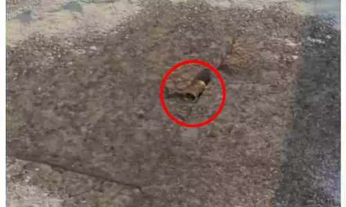 BREAKING: अस्पताल के इमरजेंसी गेट पर की फायरिंग, मचा हड़कंप BREAKING: अस्पताल के इमरजेंसी गेट पर की फायरिंग, मचा हड़कंप