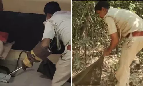 Karnataka : क्लासरूम में मिला 10 फुट लंबा अजगर Karnataka : क्लासरूम में मिला 10 फुट लंबा अजगर