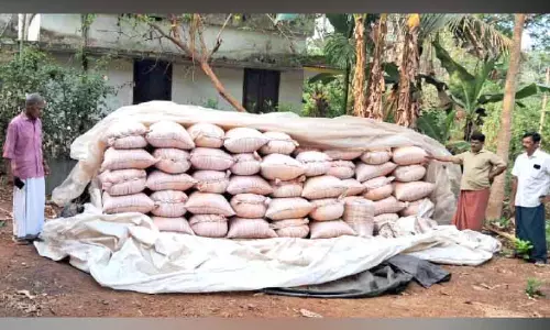 मन्नूर में कटाई के डेढ़ महीने बाद भी धान का भंडारण नहीं; Farmers परेशान मन्नूर में कटाई के डेढ़ महीने बाद भी धान का भंडारण नहीं; Farmers परेशान