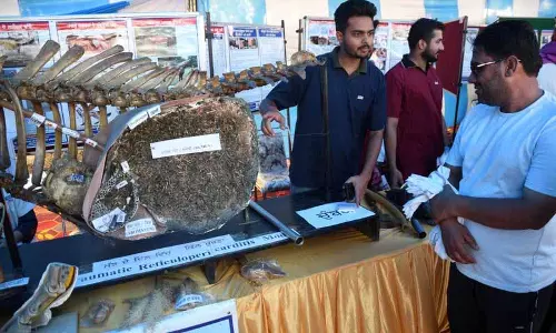 Ludhiana: 20, 21 मार्च को वेट यूनिवर्सिटी में पशु पालन मेला