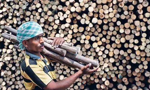 Tamil Nadu: कुछ होटलों ने खाना पकाने के लिए वैकल्पिक तरीकों को अपनाया Tamil Nadu: कुछ होटलों ने खाना पकाने के लिए वैकल्पिक तरीकों को अपनाया