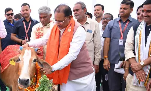 गोधन संरक्षण को नई पहचान, अब प्रदेश के सभी गौधाम कहलाएंगे सुरभि गौधाम गोधन संरक्षण को नई पहचान, अब प्रदेश के सभी गौधाम कहलाएंगे सुरभि गौधाम
