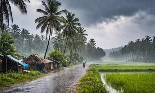 तमिलनाडु के कुछ हिस्सों में अगले हफ्ते बारिश होने की संभावना तमिलनाडु के कुछ हिस्सों में अगले हफ्ते बारिश होने की संभावना