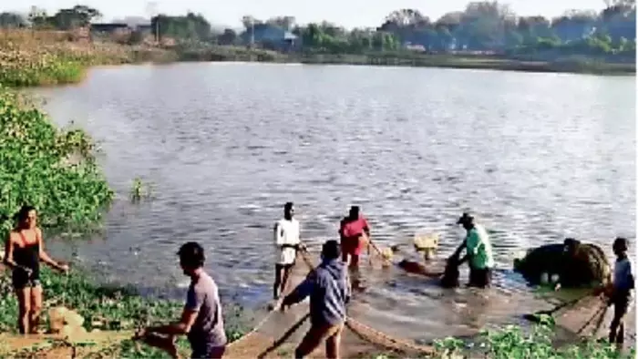 मछली जाल में मगरमच्छ फंसने से मछुआरों के उड़े होश, वन विभाग को बुलाया मछली जाल में मगरमच्छ फंसने से मछुआरों के उड़े होश, वन विभाग को बुलाया
