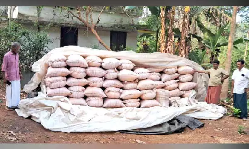 मन्नूर में कटाई के डेढ़ महीने बाद भी धान का भंडारण नहीं; Farmers परेशान मन्नूर में कटाई के डेढ़ महीने बाद भी धान का भंडारण नहीं; Farmers परेशान