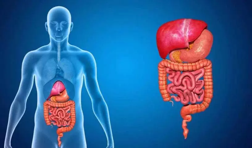Digestive System को स्वस्थ रखने और उसकी समस्याओं से छुटकारा पाने के लिए, इन खाद्य पदार्थों का रोज़ सेवन करें Digestive System को स्वस्थ रखने और उसकी समस्याओं से छुटकारा पाने के लिए, इन खाद्य पदार्थों का रोज़ सेवन करें