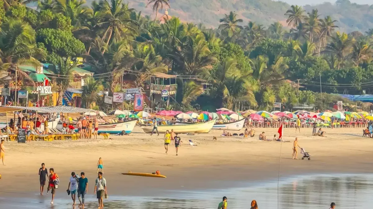 North Goa में कॉर्पोरेट पर्यटन और कृषि विरासत के बीच टकराव North Goa में कॉर्पोरेट पर्यटन और कृषि विरासत के बीच टकराव